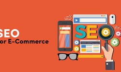How to choose the best eCommerce SEO Agency in USA?