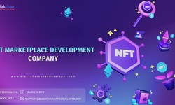 Develop your own NFT Marketplace Development Within 48 Hours