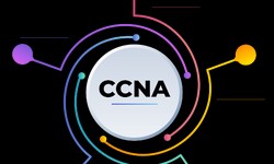CCNA Certification: Is it Worth the Investment?