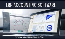 Criteria to Consider While Choosing an Accounting ERP Software