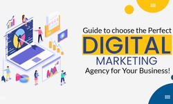 Guide to Pick the Perfect Digital Marketing Agency for Your Business in 2023