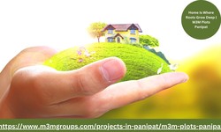 M3M Plots Panipat: The Luxurious Residential Project in Panipat City