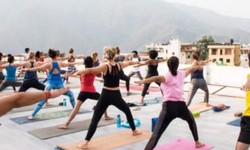 Salient Features Of Yoga Teacher Training In Rishikesh