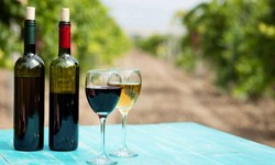 Reasons to enjoy wine tours