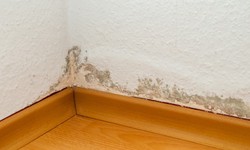 Best Methods Of Damp Proofing A Building Depending On Construction