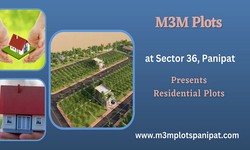 M3M Plots Sector 36 | Space, Pride and the Exclusivity in Panipat
