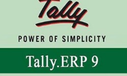 What You Need To Know About Tally Classes