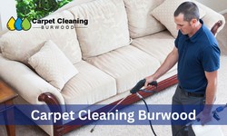 The Truth About Carpet Cleaning: What You Should Know Before You Get It Done