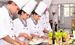 Do The Best Course For International Culinary From Top Institute!