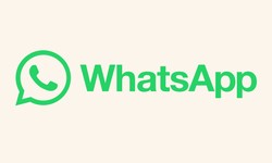 Take a Deeper Dive Into FM WhatsApp Features