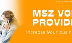 Why MSZ is the best VoIP provider in Pakistan
