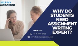 Why do Students Need Assignment Writing Expert?