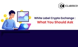 White Label crypto Exchange Software: What You Should Ask