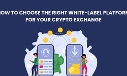 How to choose the right white-label platform for your Crypto Exchange