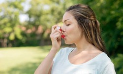 The Main Cause Of Asthma Attacks Is Pollution