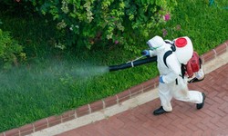 How to Keep Your Home Pest-Free.