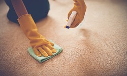 Cleaning Your carpets: A guide to the best ways to do it