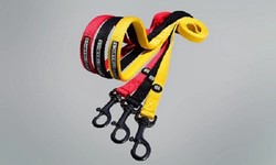 Find the Dog Harness Leash Online
