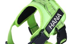 Everything about using a Personalized No Pull Dog Harness