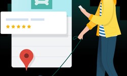 Everything You Need to Know About Local SEO