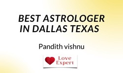 Best Indian Astrologer in Dallas
