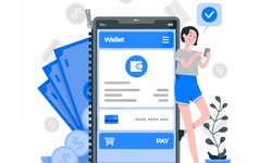 5 reasons why white label crypto wallet developers are better