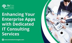 Enhancing Your Enterprise Apps with Dedicated IT Consulting Services
