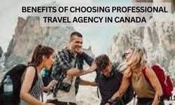 Benefits of Choosing Professional Travel Agency in Canada