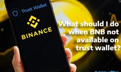 What should I do when BNB not available on trust wallet?