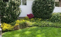 Give Eye Soothing Look To Your Building With Commercial Landscaping