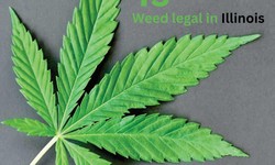 In Illinois, is marijuana legal? Legalization Guide (2023)