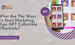 Maximizing Your NFT Investment: The Role of an NFT Collection Marketing Company