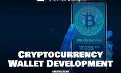Why to choose an ideal Cryptocurrency wallet development company?