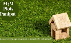 M3M Plots Panipat: A Smart Investment Choice for Your Future