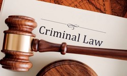 How to Become a Criminal Lawyer?