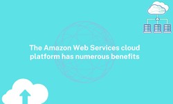 The Amazon Web Services cloud platform has numerous benefits