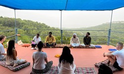 Special yoga teacher training in India