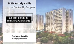 M3M Antalya Hills Sector 79 - An Opportunity Of A Lifetime at Gurgaon