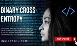 What is a loss function for binary cross entropy?