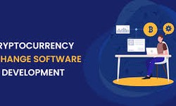 How cryptocurrency exchange development company helps crypto become mainstream?