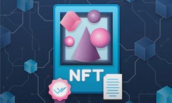 Why are NFTs divided into 2 different types?