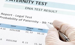 10 Proven Tips for a Successful Paternity Testing