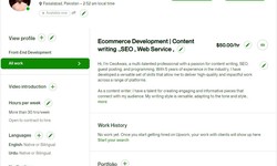 The Best Freelancer on Upwork: A One-Stop Shop for Ecommerce Development, Content Writing, SEO, and Web Services