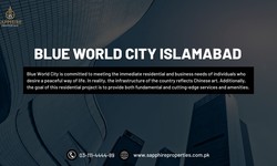 What Aspects Are Raising Demand for Blue World City?