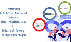 Comparison of NetSuite Project Management Software, Mosaic Project Management, and Project Insight: A Comprehensive Analysis