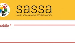 How to check Sassa status on mobile phone?