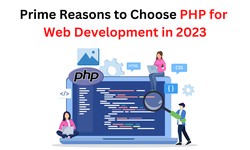 Prime Reasons to Choose PHP for Web Development in 2023