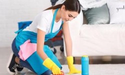 Do I Need Professional Carpet Cleaning?
