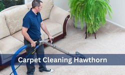 Carpet Cleaning: Your Ultimate Guide To The Best Cleaning Solutions And Tips