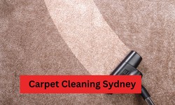 How Professional Carpet Cleaning Sydney Services Can Help You Get A Spotless Carpet Every Time?